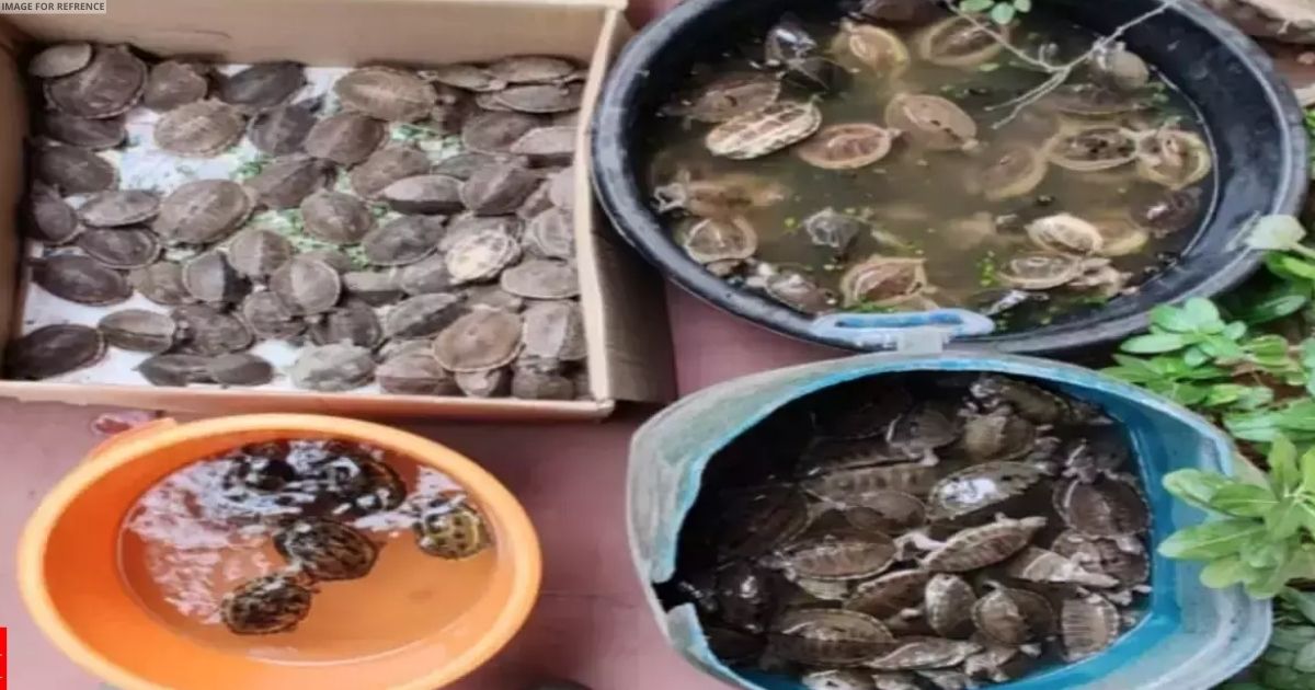 Two arrested at Visakhapatnam Railway Station for smuggling turtles
